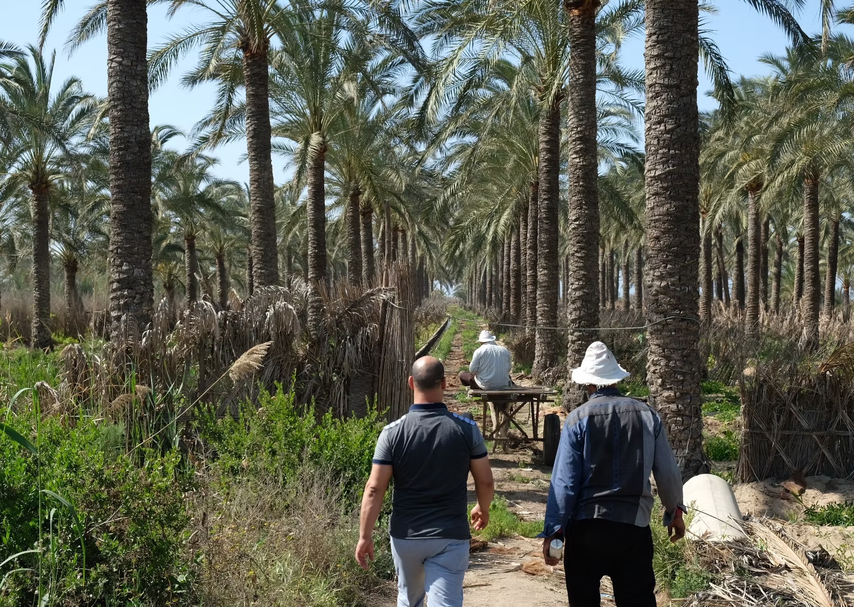 Six Senses Southern Dunes